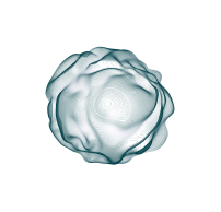 Orb