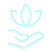 Healing Therapies & Bodywork