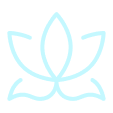 Spiritual & Energy Healing